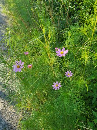목화공원현정골님의 자유주제 · 자유게시판 작성글 사진