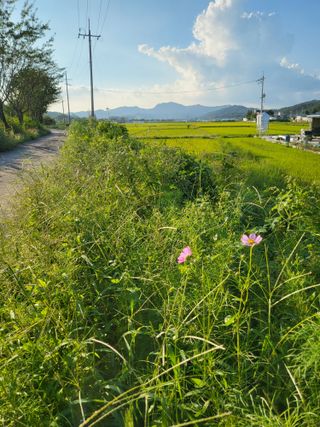 목화공원현정골님의 자유주제 · 자유게시판 작성글 사진