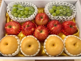 알 수 없음님의 작성글 사진