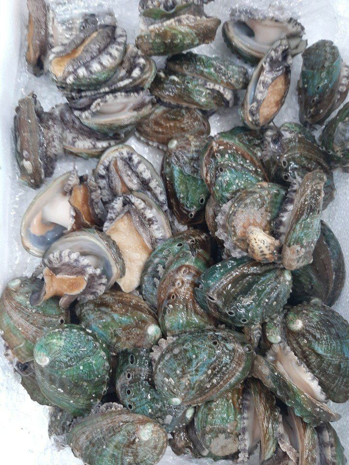 알 수 없음님의 장터 판매 상품 [꼬마전복장  1+1  2통 ~  2+2  4통  2키로 ~4키로] 첨부 사진