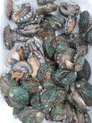 알 수 없음님의 작성글 사진