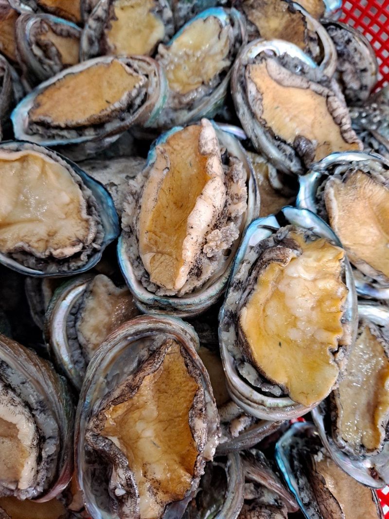 알 수 없음님의 장터 판매 상품 [꼬마전복장  1+1  2통 ~  2+2  4통  2키로 ~4키로] 첨부 사진