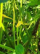 팜모닝 기타작물·자유게시판 게시글 이미지