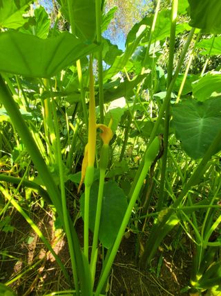 유경윤님의 기타작물 · 자유게시판 작성글 사진