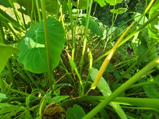 유경윤님의 기타작물 · 자유게시판 작성글 사진