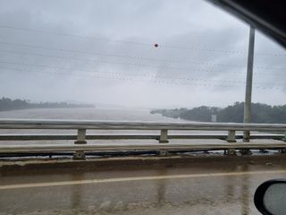 농사꾼님의 상추 · 자유게시판 작성글 사진