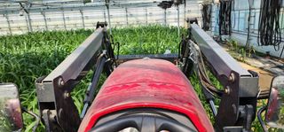 나으살던고향님의 오이 · 자유게시판 작성글 사진