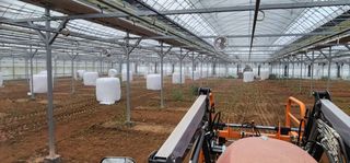 나으살던고향님의 오이 · 자유게시판 작성글 사진