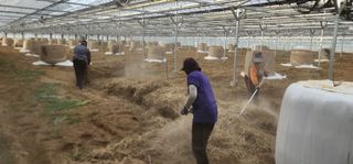 나으살던고향님의 오이 · 자유게시판 작성글 사진