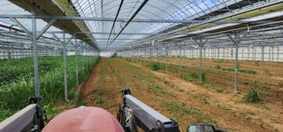 나으살던고향님의 오이 · 자유게시판 작성글 사진