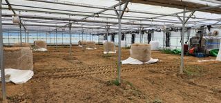 나으살던고향님의 오이 · 자유게시판 작성글 사진