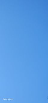 팜모닝 자유주제·자유게시판 게시글 이미지