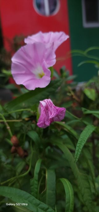 우철28268HQ님의 자유주제 · 자유게시판 작성글 사진