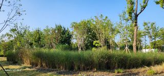 우철28268HQ님의 자유주제 · 자유게시판 작성글 사진