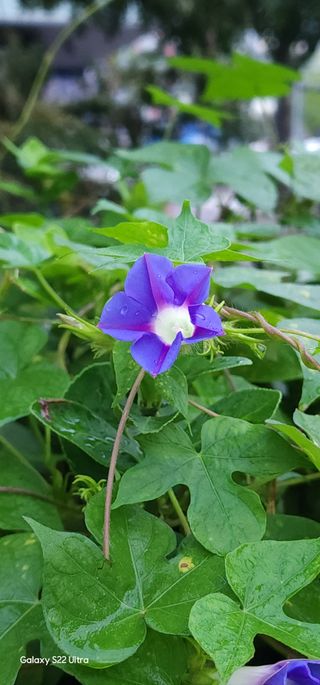 우철28268HQ님의 자유주제 · 자유게시판 작성글 사진