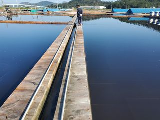 김나영 (천일염소금님의 자유주제 · 자유게시판 작성글 사진