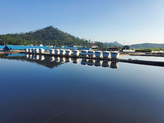 김나영 (천일염소금님의 자유주제 · 자유게시판 작성글 사진