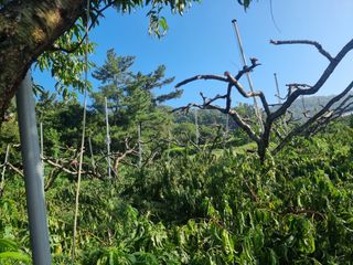 김정희님의 자유주제 · 자유게시판 작성글 사진