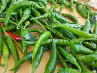 박귀님의 자유주제 · 자유게시판 작성글 사진