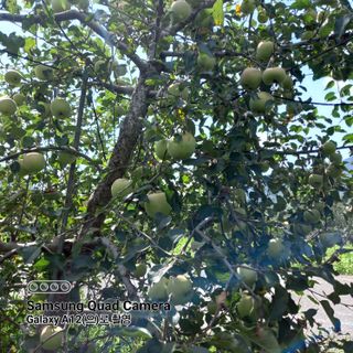 최동구님의 9월 내 작물 자랑하기 · 참여글 작성글 사진