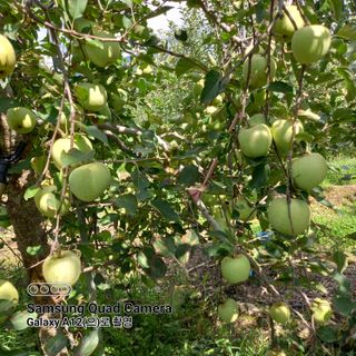 최동구님의 9월 내 작물 자랑하기 · 참여글 작성글 사진