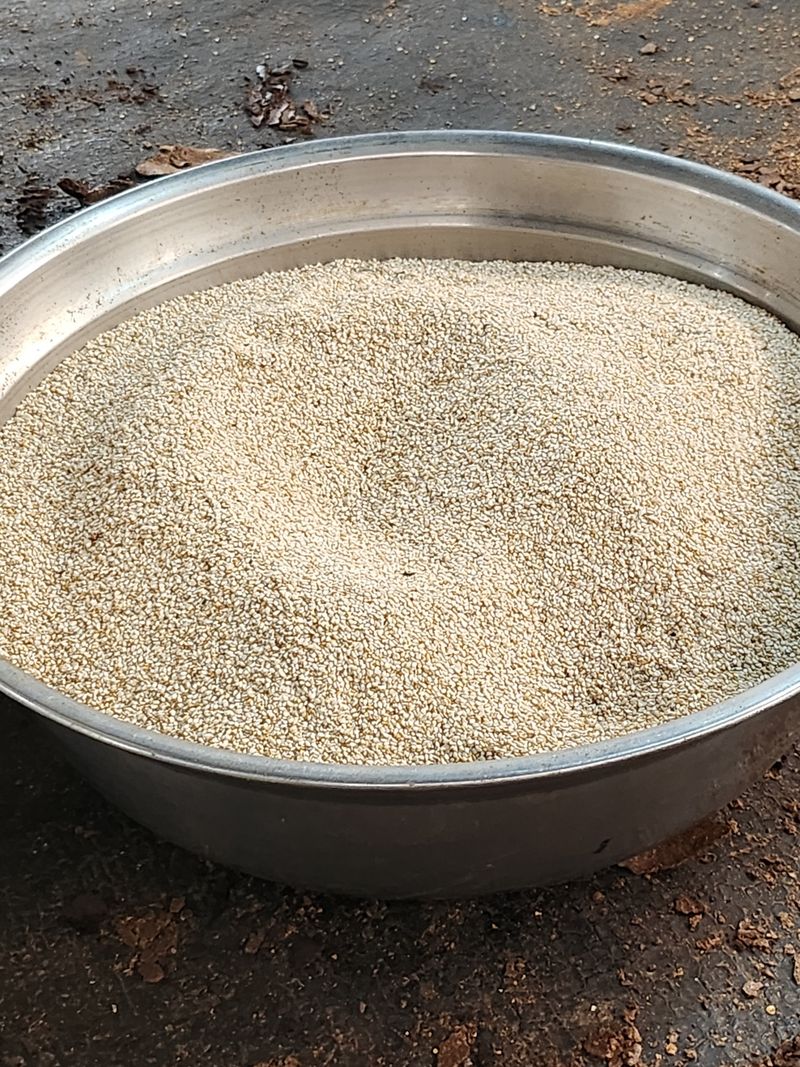 장터 상품 [참깨] 썸네일