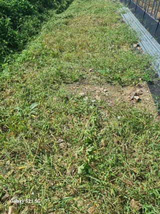 귀농대박님의 자유주제 · 자유게시판 작성글 사진