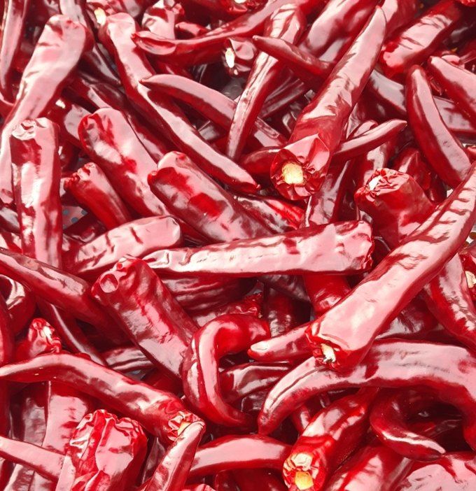 장터 상품 [건고추 600g] 썸네일