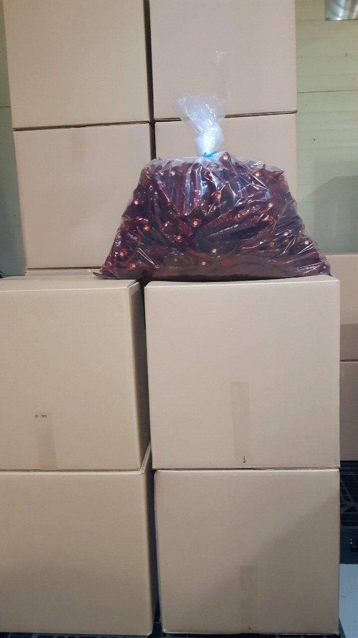 준삼이네작은농장님의 장터 판매 상품 [건고추 600g] 첨부 사진