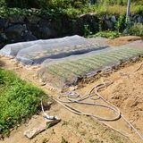 팜모닝 사과·영농일지 게시글 이미지