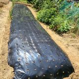 팜모닝 사과·영농일지 게시글 이미지