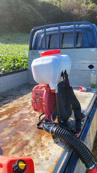 김상년님의 콩 · 영농일지 작성글 사진