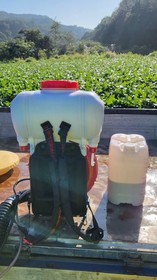 김상년님의 콩 · 영농일지 작성글 사진