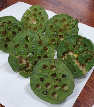 윤병진(艾香農園)님의 자유주제 · 자유게시판 작성글 사진