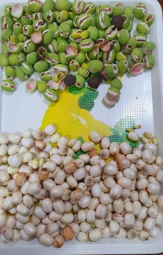 윤병진(艾香農園)님의 자유주제 · 자유게시판 작성글 사진