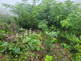 서성환님의 기타작물 · 영농일지 작성글 사진