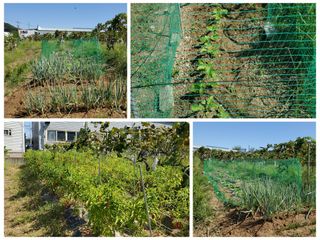 윤근순님의 자유주제 · 사진전 작성글 사진