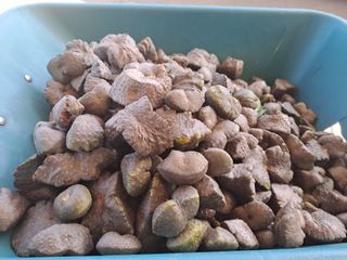 곽해영님의 기타작물 · 자유게시판 작성글 사진