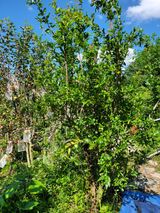 팜모닝 자유주제·자유게시판 게시글 이미지