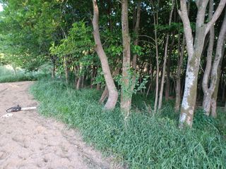 치기석님의 자유주제 · 사진전 작성글 사진