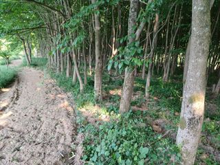 치기석님의 자유주제 · 사진전 작성글 사진