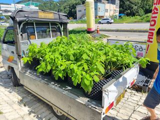 행복한나무농장님의 작성글 사진