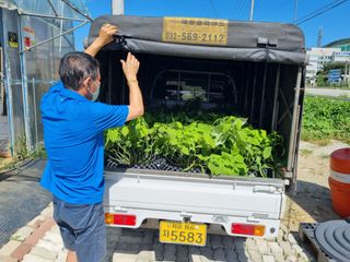 행복한나무농장님의 작성글 사진