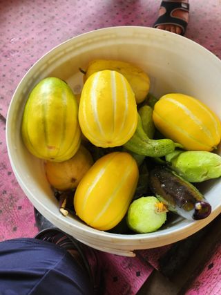 독도농장님의 9월 내 작물 자랑하기 · 참여글 작성글 사진