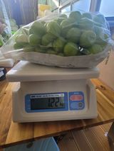 팜모닝 9월 내 작물 자랑하기·참여글 게시글 이미지