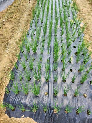 갑돌이님의 자유주제 · 자유게시판 작성글 사진