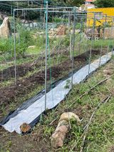 팜모닝 배추·토양준비 게시글 이미지