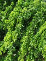 팜모닝 자유주제·사진전 게시글 이미지