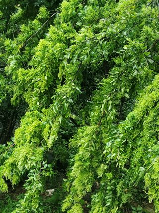 혜련화17653님의 자유주제 · 사진전 작성글 사진