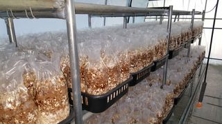 김민화님의 시금치 · 일상 작성글 사진